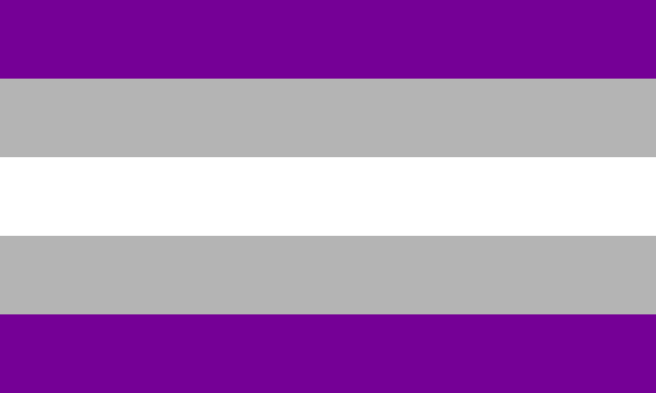 Greysexual Flag